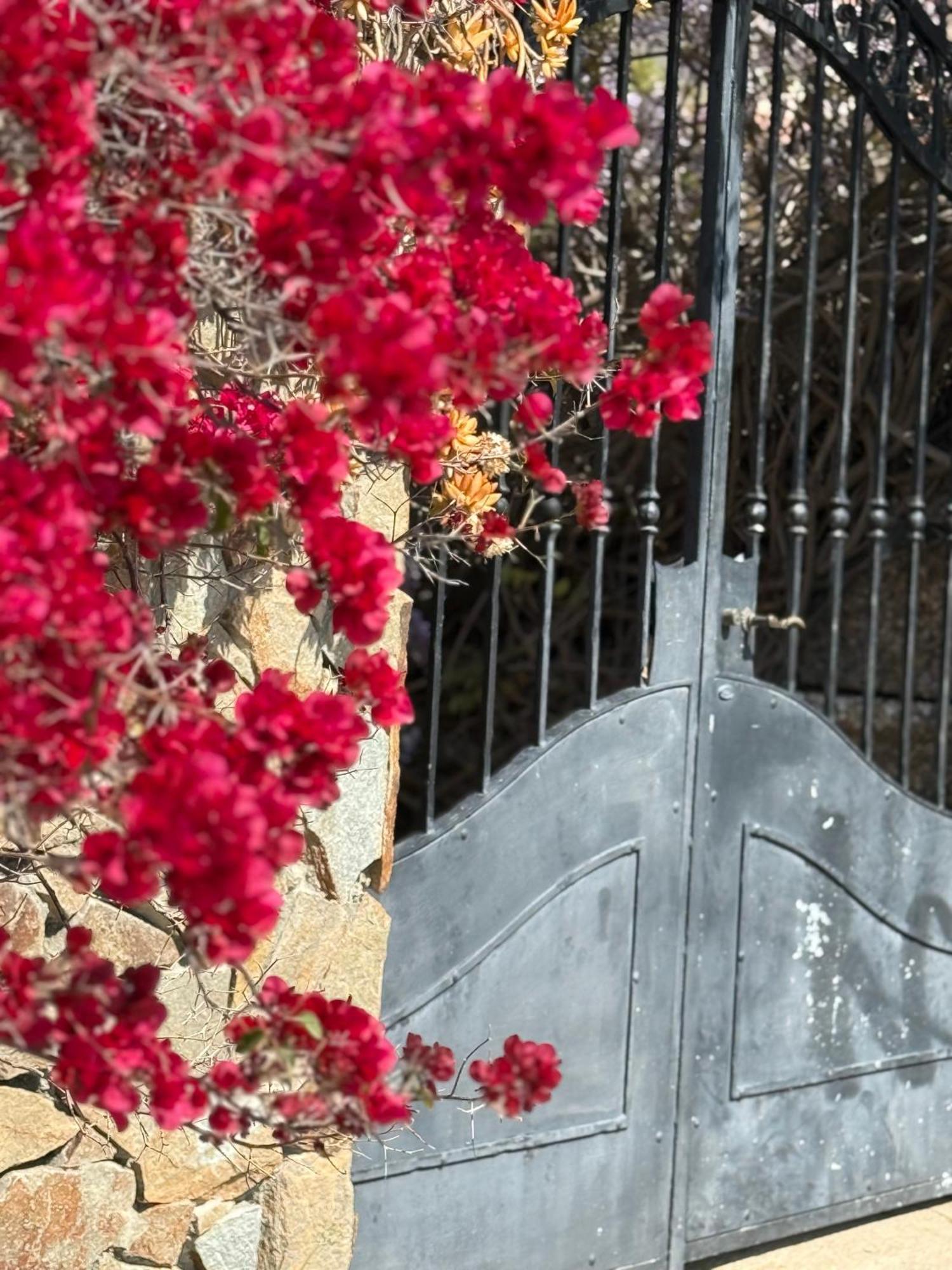 Lovely Home 5 Min Walk To The Beach, 3 Bedrooms Ample Outdoor Relax And Wifi Capitana Buitenkant foto